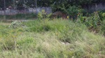 Kawai ouve reivindicação de moradores do Jardim Algodoal