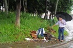 Dirceu Alves defende obras viárias na região de Santa Teresinha