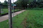 A pedido de Bandeira, mato foi cortado no Jardim Brasília