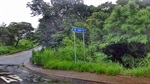 Mato alto em área verde gera preocupação
