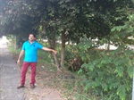 Vereador esteve no bairro e registrou as reivindicações