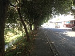Vereador esteve no bairro e registrou as reivindicações