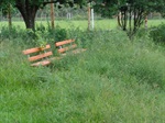 Há mato alto em vários lugares em torno do parque infantil