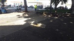 Vereador Pedro Cruz solicita melhorias na praça José Bonifácio
