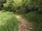 Área de lazer localiza -  rua do enxofre - Paulista