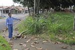 Dirceu Alves pede manutenção de praça na Vila Sônia