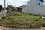 Moradores reclamam de terreno baldio na Vila Independência