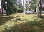Corte de mato em praça central contempla solicitação de André Bandeira