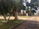 Corte de mato em praça central contempla solicitação de André Bandeira
