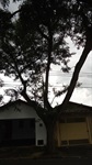 Há risco de infiltrações e curto circuito no local