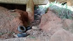 Pneus jogados: perigo de criadouro do mosquito da dengue