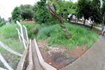 Moradores defendem iluminação para área verde