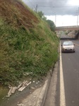 Pessoas são tomadas pela insegurança por desviar do mato