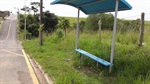Não há calçadas onde está o ponto de ônibus. Local está tomado pelo mato