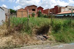 Mato alto e presença constante de água incomodam moradores