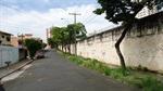 Mato alto tomava conta das guias de escoamento de água