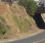 Prefeitura atende Ronaldo Moschini em corte de mato no Jardim Castor