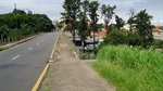 Moradores, inseguros, pedem capinação e retirada do mato