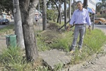 Dirceu requer informações sobre reforma de praça em Santa Teresinha