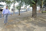 Dirceu requer informações sobre reforma de praça em Santa Teresinha