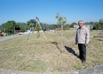 Parlamentar  quer a revitalização de uma área do Gran Park