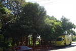 Parlamentar encaminhou problema ao Executivo Municipal