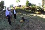 Área verde tornou-se local de usuário de drogas
