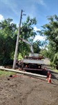 Queda de eucalipto atinge postes no bairro Nova Suíça