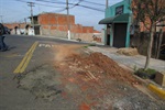 Moradores reivindicaram ao parlamentar recapeamento asfáltico nas ruas Cupuaçu e Alderico de Oliveira Campos