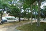 Mato estava muito alto, causando transtornos a quem transitava pelo local