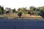 Foto mostra como era a área verde antes de o pedido de Moschini ser atendido