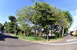 Área verde precisa de melhorias, segundo moradores 
