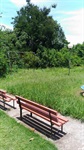 Situação de abandono em área verde no Jardim Alvorada I