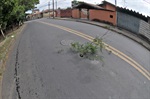 Avenida Bebedouro