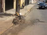 Antes o local apresentava uma espécie de “borrachudo” na guia