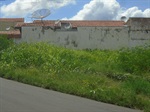Limpeza e operação tapa buraco em várias ruas do bairro é urgente
