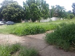 Área de lazer em condições de abandono na pista de acesso