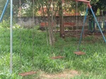 Área de lazer em condições de abandono precisa de corte de mato