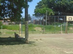 Sedema realiza corte de mato e limpeza em complexo esportivo