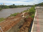 Fotos revelam a ação da prefeitura na avenida Renato Wagner