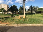 Moradores reclamam de mato alto e acúmulo de lixo