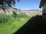 Mato alto toma conta de terreno no Campestre