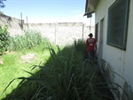 Mato alto toma conta de terreno no Campestre