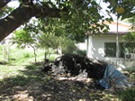 Mato alto toma conta de terreno no Campestre