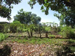 Mato alto toma conta de terreno no Campestre
