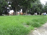 Antes, mato alto era alvo de reclamações no bairro Serra Verde