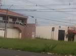 Antes as calçadas estavam cobertas pelo mato