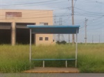 Antes as calçadas estavam cobertas pelo mato