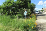 Vereador Tozão visita o bairro Santa Inês
