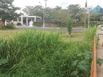 Fotos revelam que os serviços não estão terminados